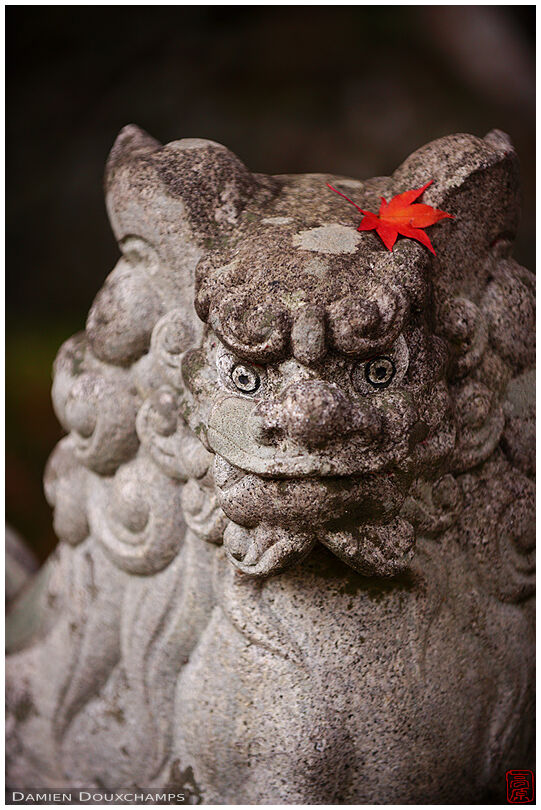 Fallen red maple leaf on guardian statue in the garden of Shoji-ji temple, Kyoto, Japan