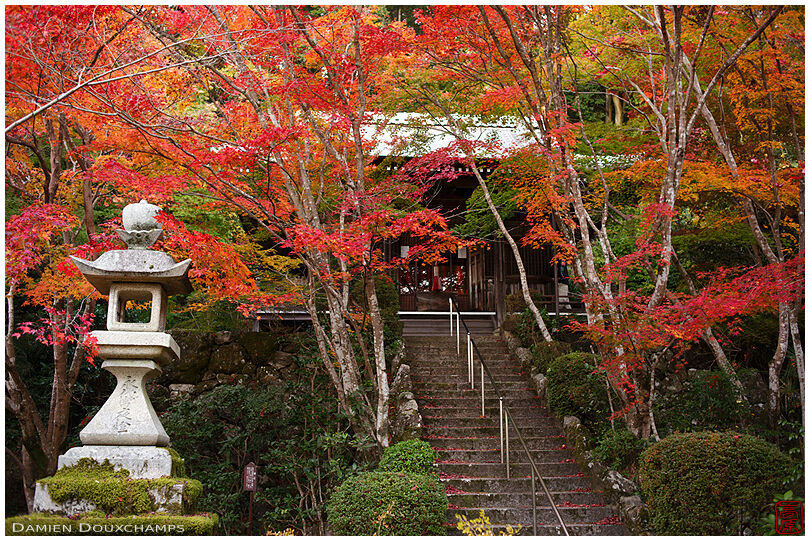 Large stone lantern amidst autumn colours in the garden of Shoji-ji temple, Kyoto, Japan