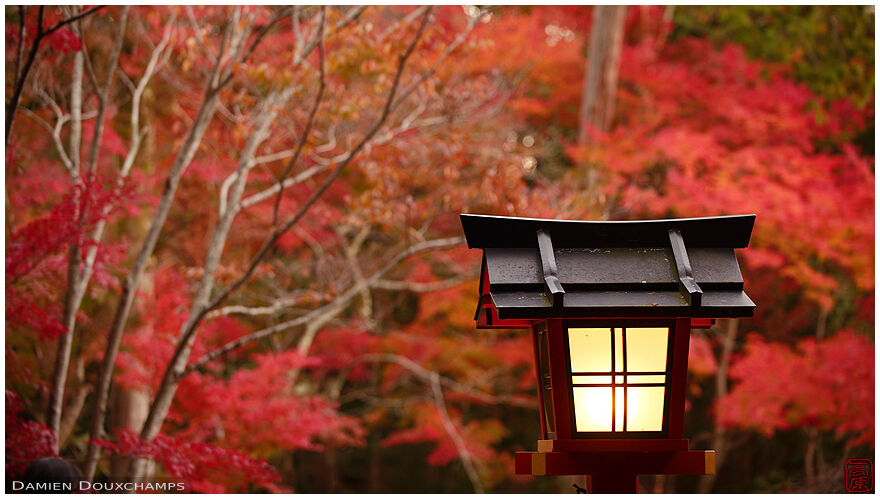 Lantern and bright red autumn colours in Oharano shrine, Kyoto, Japan