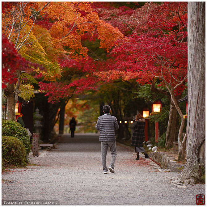 The maple-covered path leading to Oharano shrine, Kyoto, Japan