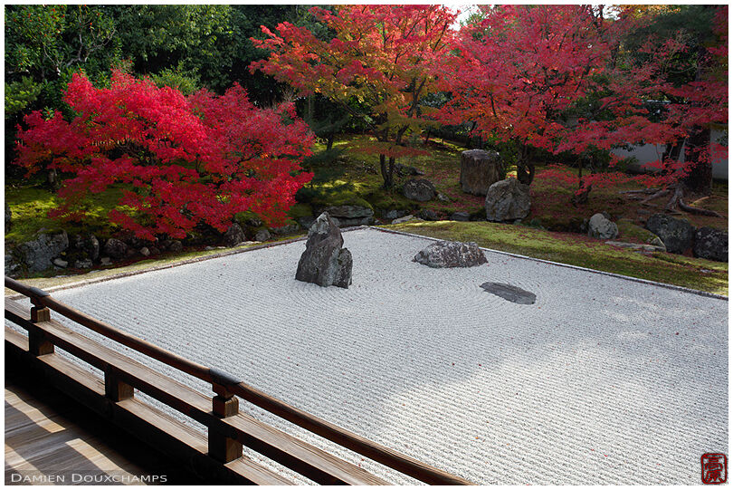 Peaceful rock garden surrounded by fiery autumn colours, Shokoku-ji temple, Kyoto, Japan
