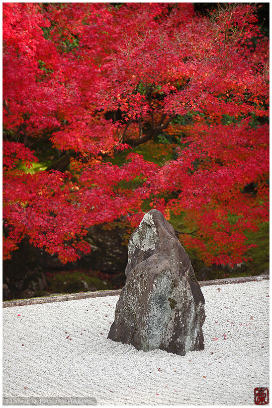 Standing stone in rock garden during peak autumn colors, Shōkoku-ji temple, Kyoto, Japan