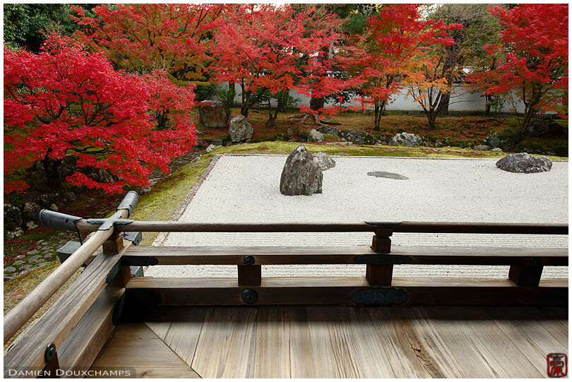 Terrace on the hojo garden of Shokoku-ji temple, complete with bright red autumn colors, Kyoto, Japan