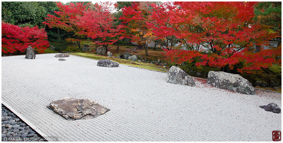 Wide rock garden surrounded by perfectly red autumn foliage, Shokoku-ji temple, Kyoto, Japan