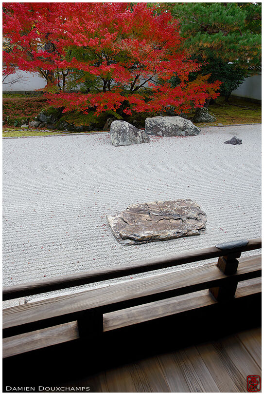 Rock garden with red autumn foliage, Shokoku-ji temple, Kyoto, Japan