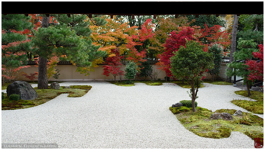 Autumn colors around the moss and rock garden of Rozan-ji temple, Kyoto, Japan