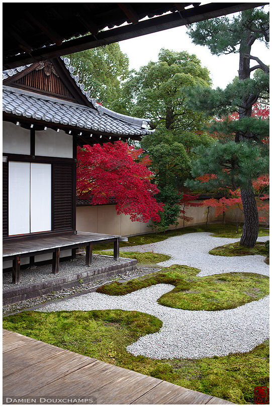 Red maple foliage overspilling on moss and rock garden in Rozan-ji temple, Kyoto, Japan