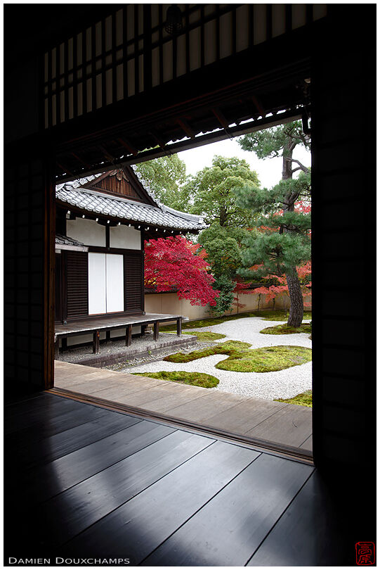 View on the modern moss and rock garden of Rozan-ji temple in autumn, Kyoto, Japan