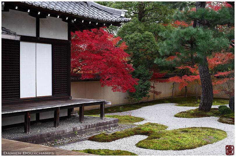 Modern moss and gravel garden with autumn foliage in Rozan-ji temple, Kyoto, Japan