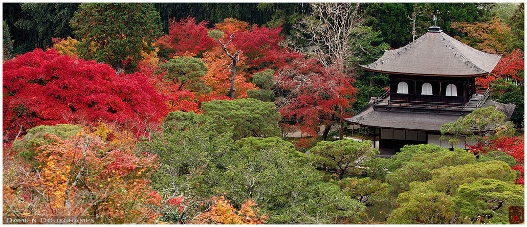 The silver pavilion surrounded by autumn colours, Ginkaku-ji temple, Kyoto, Japan
