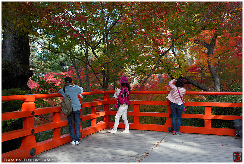 Tourists enjoying autumn foliage on a terrace of Kitano Tenmangu shrine gardens, Kyoto, Japan