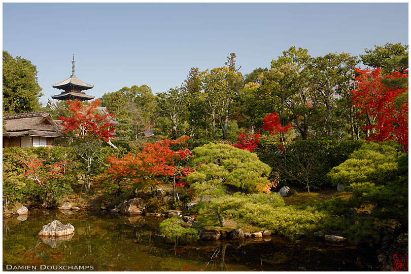 Tea house and pagoda overlooking pond garden in autumn, Ninna-ji temple, Kyoto, Japan