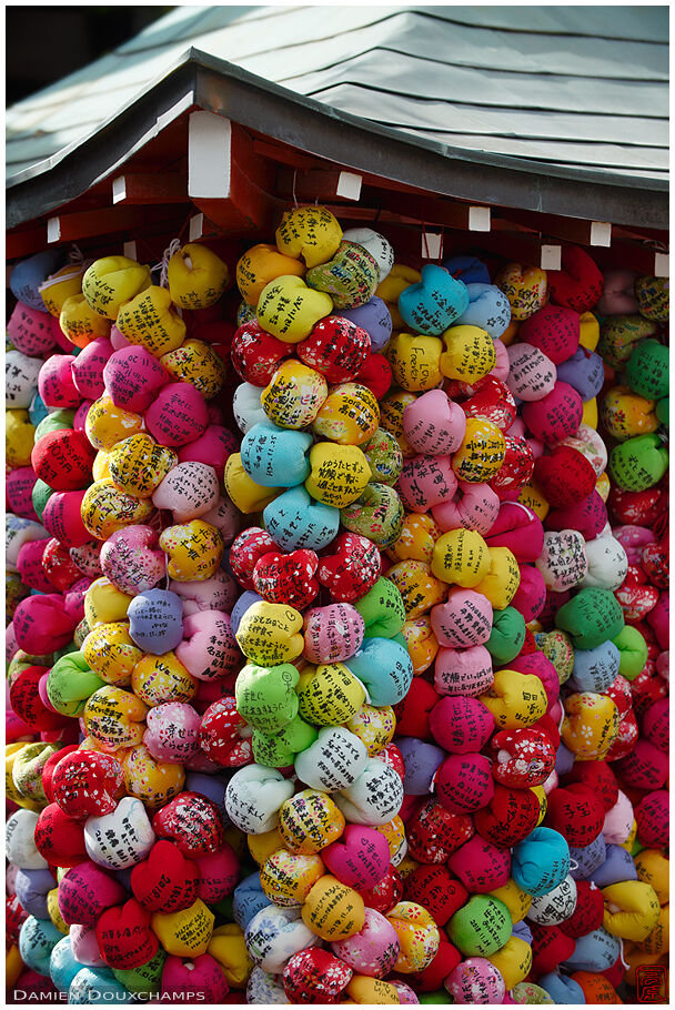 Grapes of kukurisaru votive offerings hanging in Kongo-ji temple in Gion, Kyoto, Japan