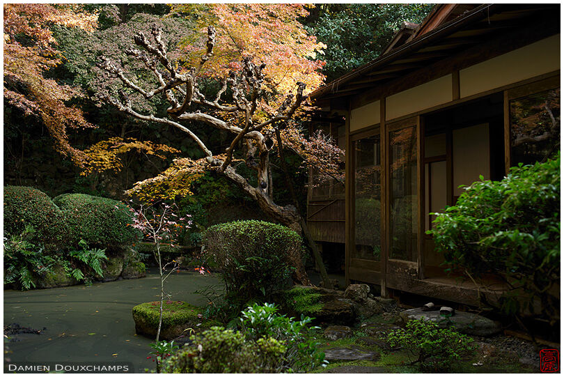 Dark pond garden in a small temple in a corner of Kyoto, Japan