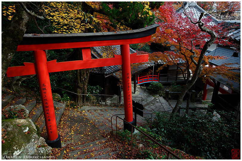 Red torii gate over stairs in the mountain temple of Yokoku-ji, Kyoto, Japan