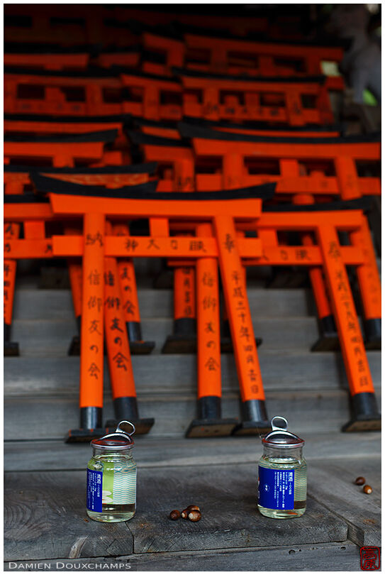 Sake and small red torii as offerings in a shrine on the grounds of Yokoku-ji temple, Kyoto, Japan