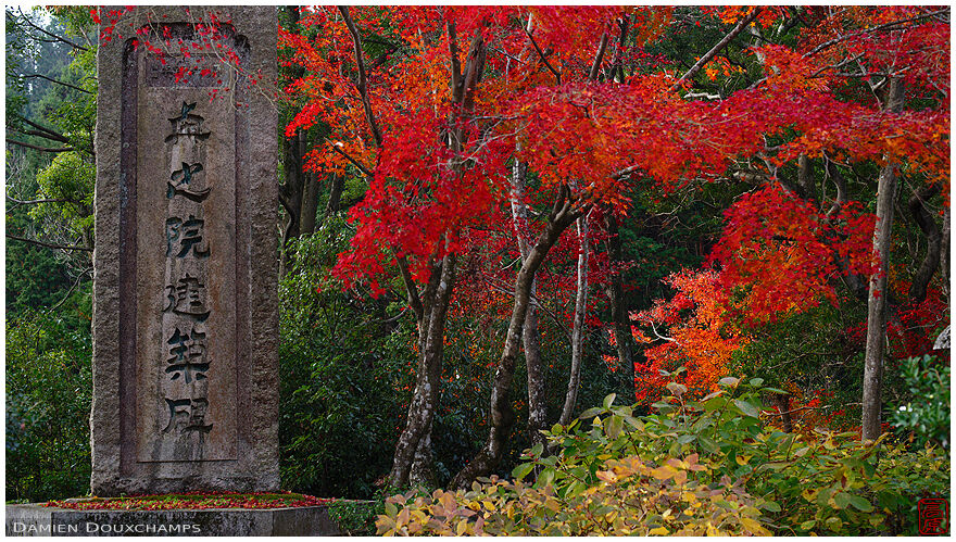 Large stone pillar with autumn foliage, Yokoku-ji temple, Kyoto, Japan