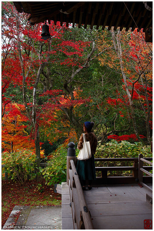 Female admiring autumn colors from terrace in Yokoku-ji temple, Kyoto, Japan