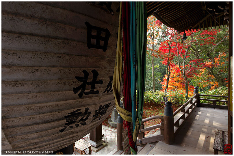 Large old paper lantern and autumn colours, Yokoku-ji temple, Kyoto, Japan