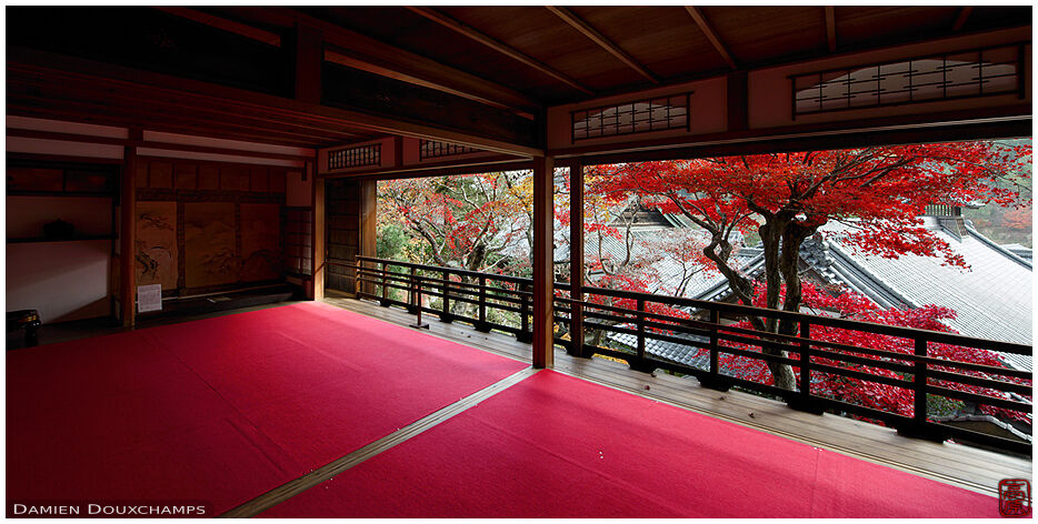 Large writing room with view on autumn colours, Yokoku-ji temple, Kyoto, Japan