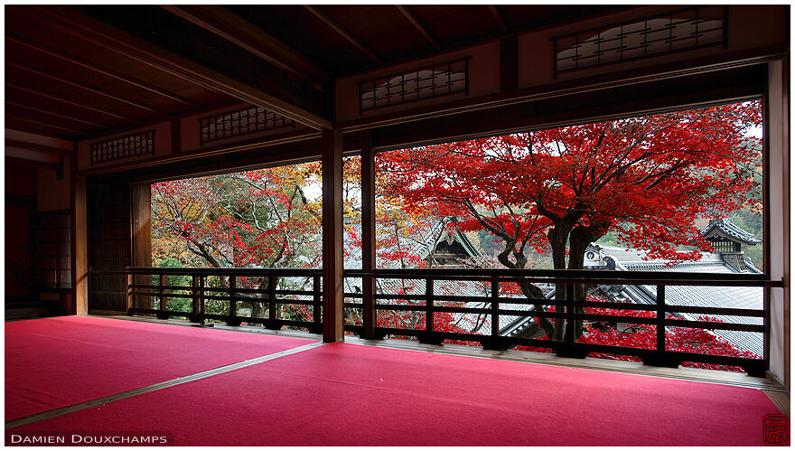 Autumn colours from the writing room of Yokoku-ji temple, Kyoto, Japan