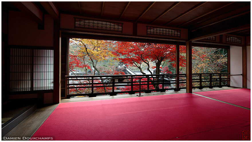 Beautiful traditional Japanese architecture of a shion writing room with view on autumn foliage in Yokoku-ji temple, Kyoto, Japan