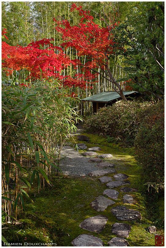 Stepping stones and autumn foliage in the Shokado garden, Kyoto, Japan