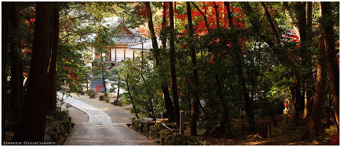 Forest road leading to Enpuku-ji temple, Kyoto, Japan