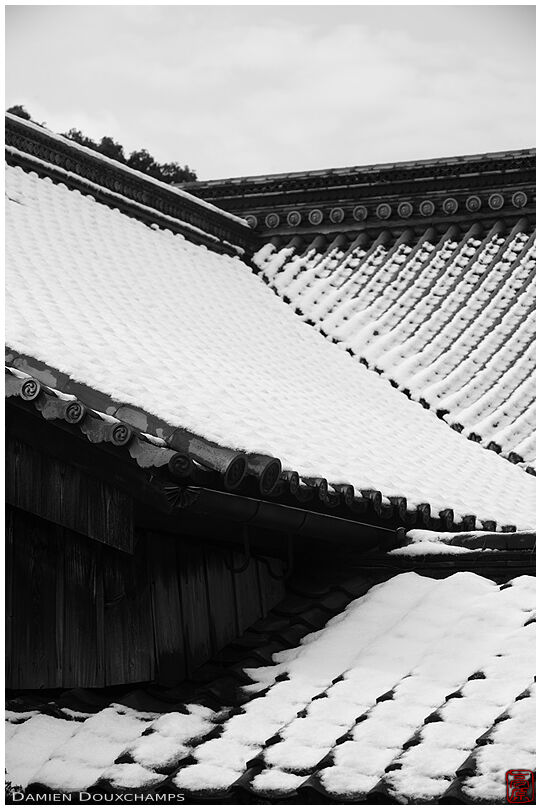 Snowy temple roof lines, Zuishin-in, Kyoto, Japan