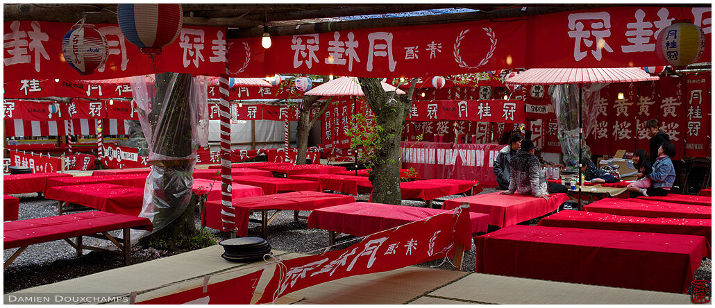 Hirano shrine rest area sponsored by a famous sake brand during cherry blossom season, Kyoto, Japan