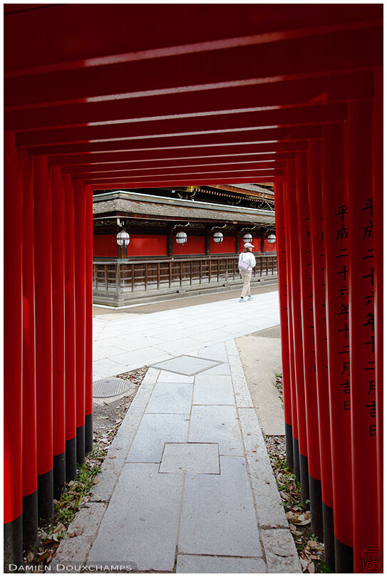 Tunnel of torii gates in Kitano Tenmangu shrine, Kyoto, Japan