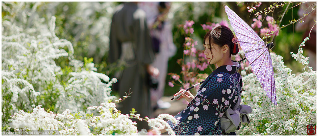 Woman with traditional umbrella and kimono in the flower garden of Haradani-en, Kyoto, Japan