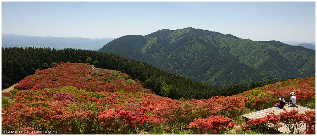Terrace with view on azalea covered mountain, Nara, Japan