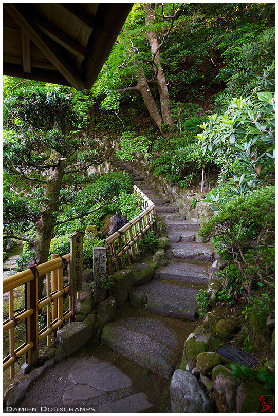 Stairs bordered with bamboo fence in the garden of Taima-dera, Nara, Japan