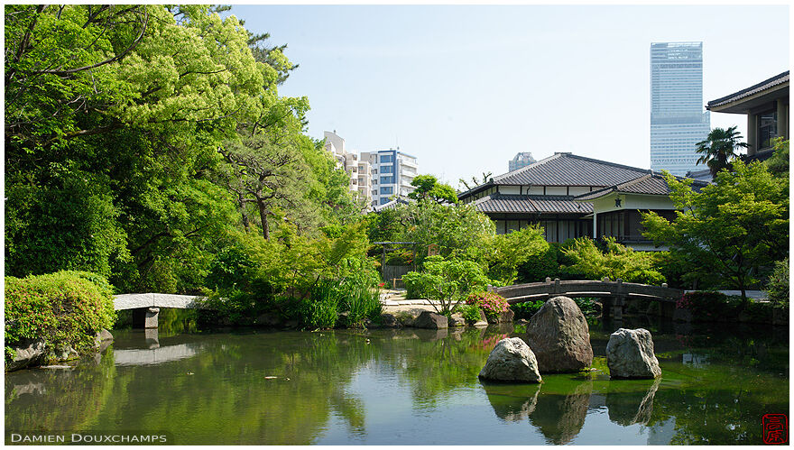Japanese pond garden in the heart of Osaka, Japan