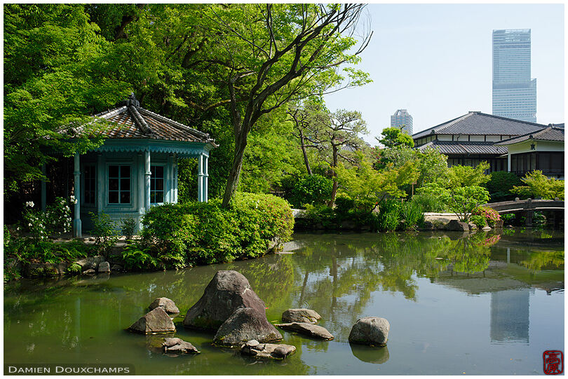 Gokuraku-jodo garden pond with tall modern tower in the distance, Osaka, Japan