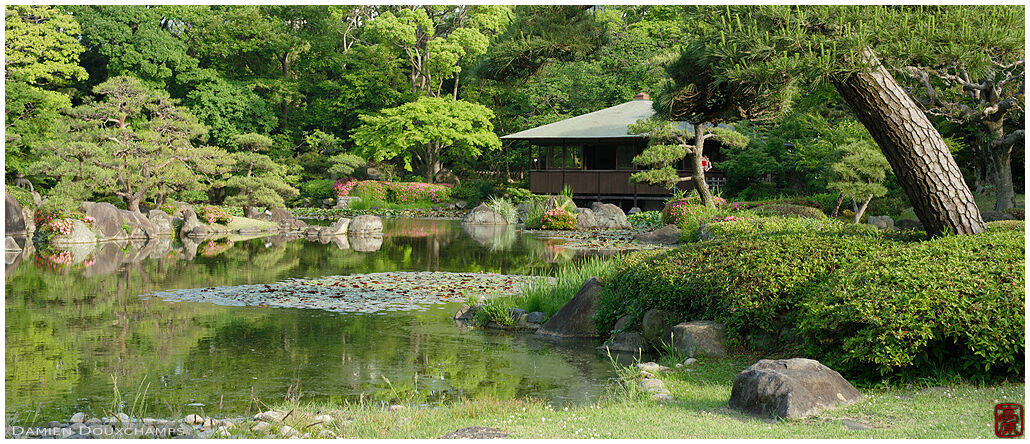 Pavilion over pond in the Keitaku-en garden, Osaka, Japan