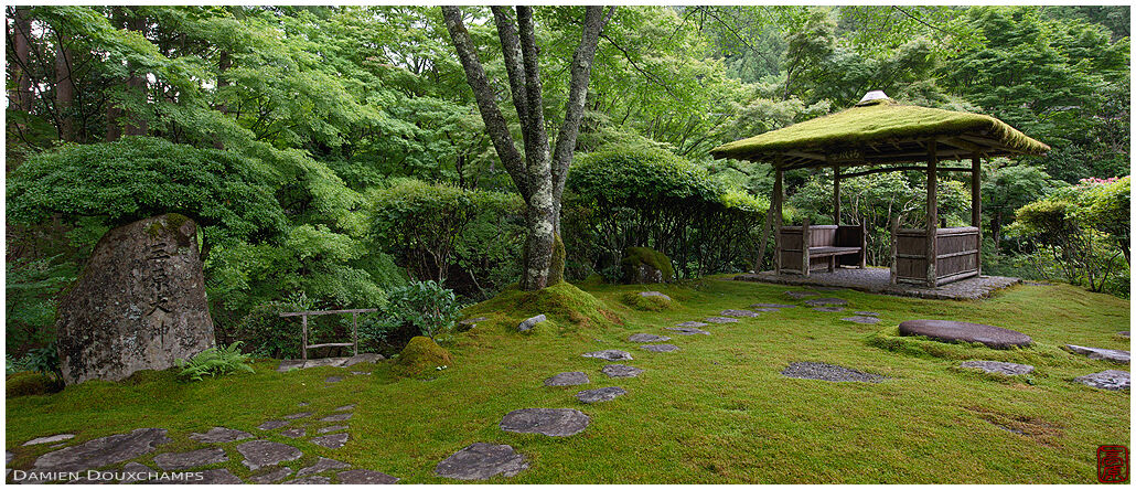 The amazing moss-covered grounds of Hakuryu-en garden in the north of Kyoto, Japan