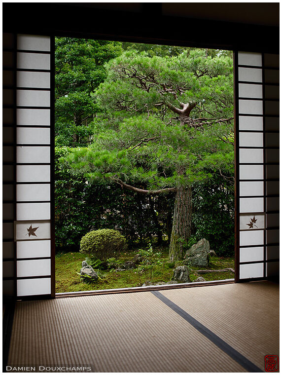 View on Japanese garden with leaves insert in shoji partitions, Funda-in temple, Kyoto, Japan