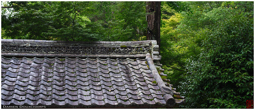 Old temple gate roof in the forest, Ishiyama-dera temple, Shiga, Japan
