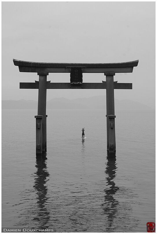 Man on paddle board passing under the floating torii gate of Shirahige shrine, Shiga, Japan