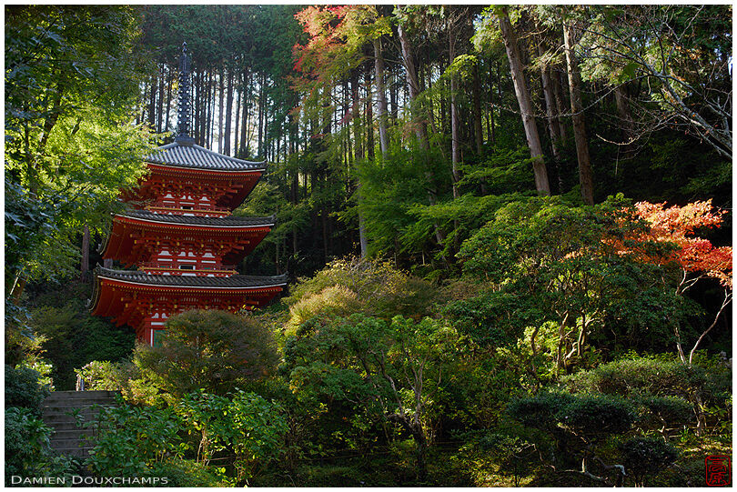 Red pagoda in forest, Ganzen-ji temple, southern Kyoto, Japan