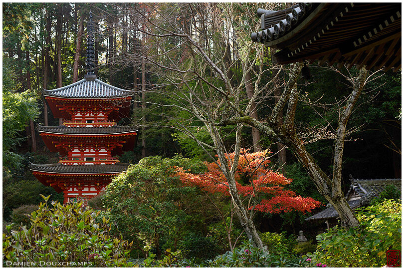 Pagoda in forest, Ganzen-ji temple, Kyoto prefecture, Japan