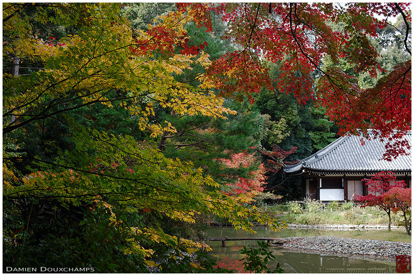 Early autumn colours in Joruri-ji temple in the southern border of Kyoto prefecture, Japan