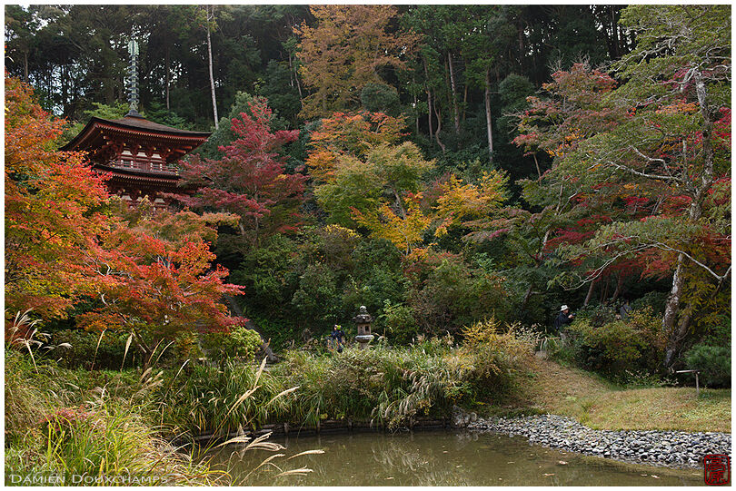 Pagoda and early autumn colours in Joruri-ji temple, Kyoto, Japan