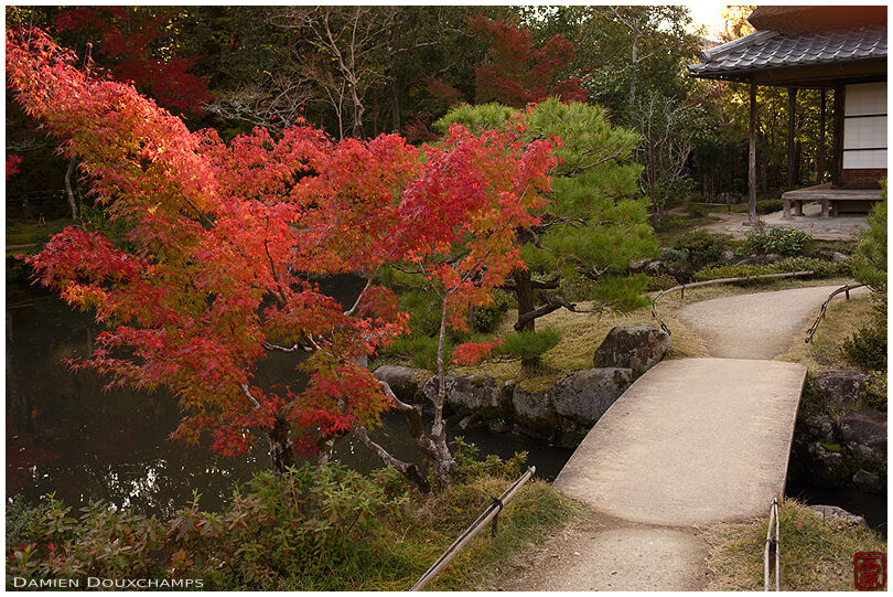 Stone bridge and autumn colours in the Isui-en garden, Nara, Japan
