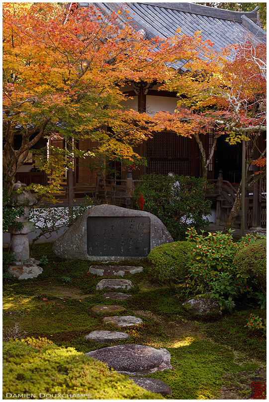Early autumn colours in moss garden of Shisenko-ji temple, Kyoto, Japan
