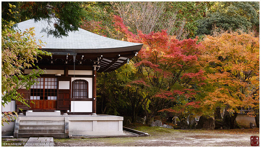 The little known temple of Zenno-ji in autumn, Kyoto, Japan