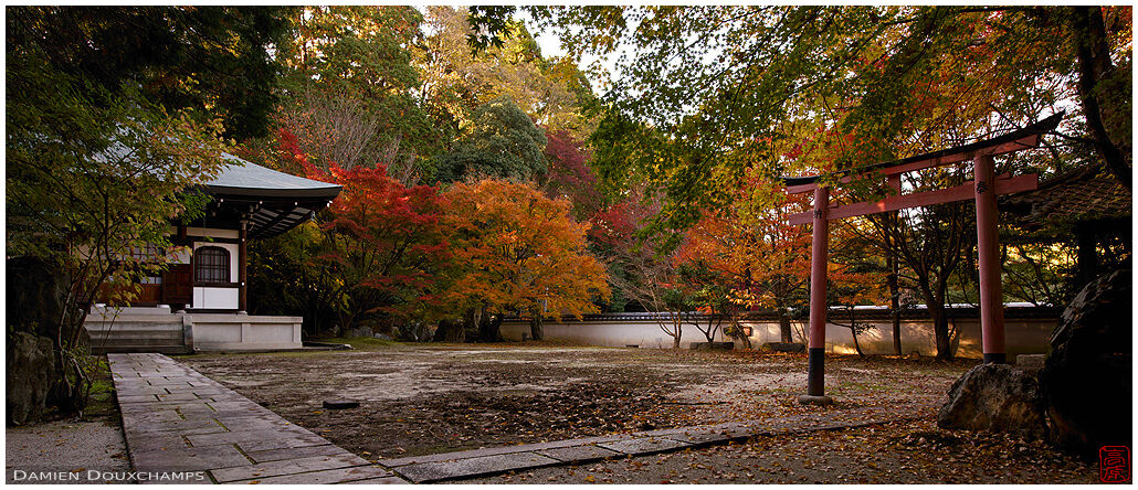 Hall, torii gate and autumn colours in little known Zenno-ji temple, Kyoto, Japan