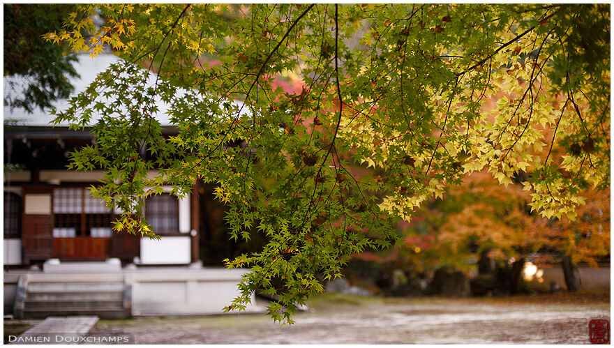Zenno-ji (善能寺)